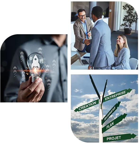 Structures for new enterprise formation